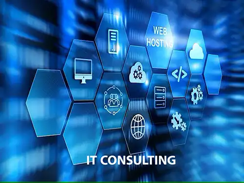 IT CONSULTANCY